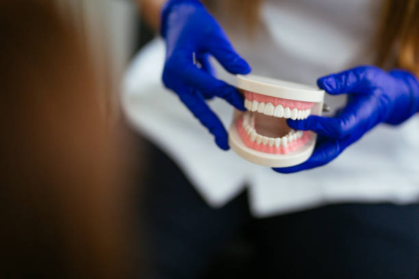 Why Choose Us for Your Dental Needs in Meadow Oaks, FL